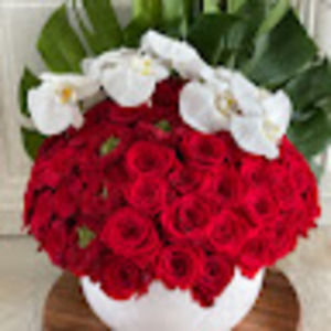 Meet your Posher, Tanya